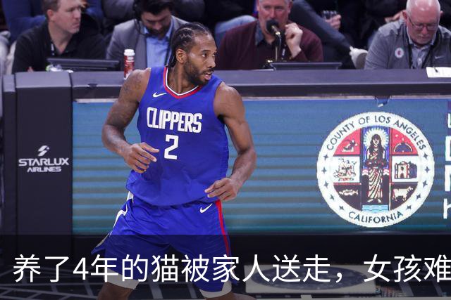 养了4年的猫被家人送走，女孩难过了8年，再次见面时本以为早被忘了，结果它一眼就认出来了……瞬间泪崩！